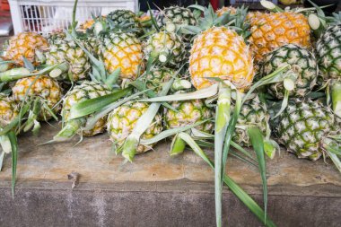 Ananas piyasada yığını