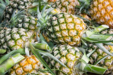 Ananas piyasada yığını