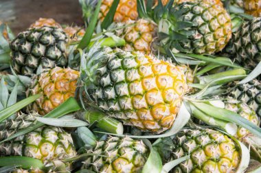 Ananas piyasada yığını