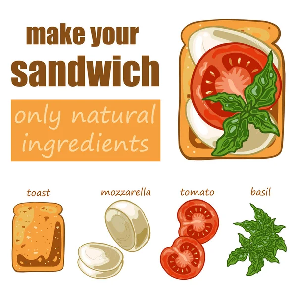 Set mit Sandwich: Toastbrot, Mozzarella, Tomaten und Basilikum — Stockvektor