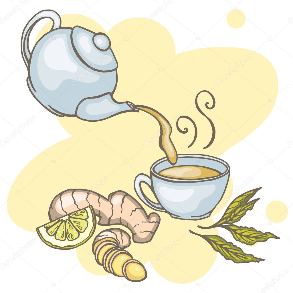 Set of hand drawn ginger tea elements