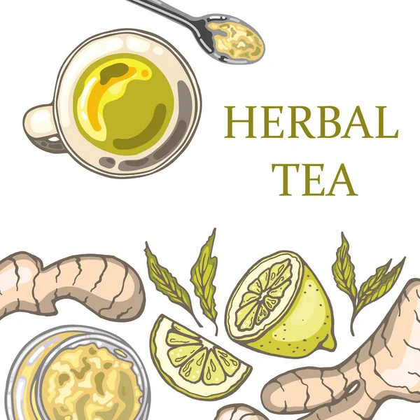 Conjunto de elementos de té de jengibre dibujado a mano — Archivo Imágenes Vectoriales