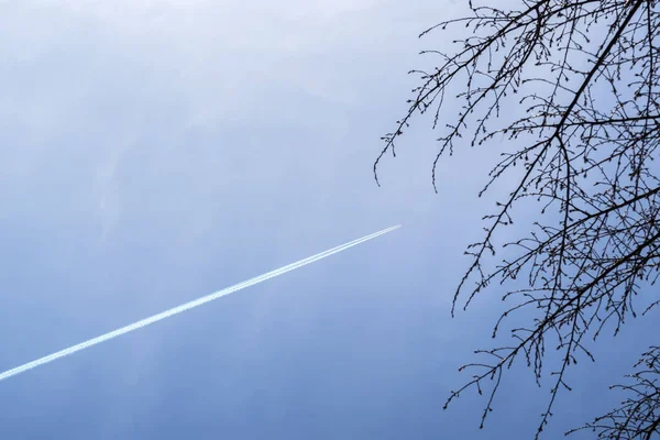 Jet letadlo na modré obloze s trasování kondenzační stopy proti jasné modré oblohy a strom větví — Stock fotografie