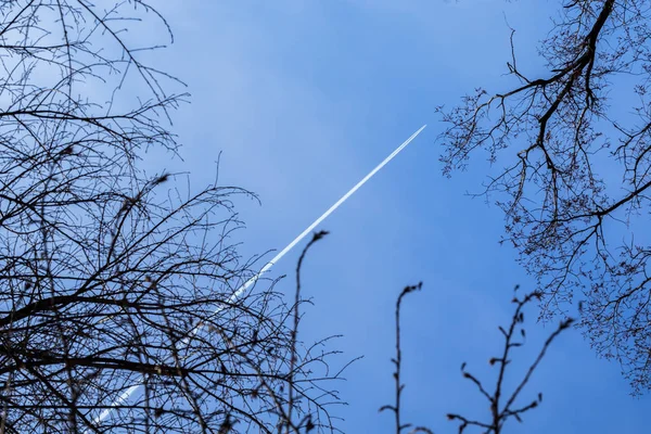 Αεριωθούμενο αεροπλάνο στο μπλε του ουρανού με ίχνη συμπύκνωσης πίστα κατά σαφή μπλε ουρανό και αντίθεση σιλουέτες των κλαδιών δέντρων — Φωτογραφία Αρχείου