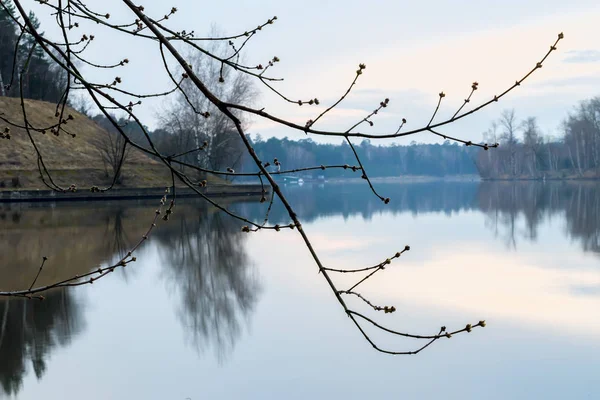 Primavera temprana. Puesta de sol y crepúsculo en el río junto al bosque. Rama de un árbol con brotes hinchados. Concepto de estaciones . —  Fotos de Stock