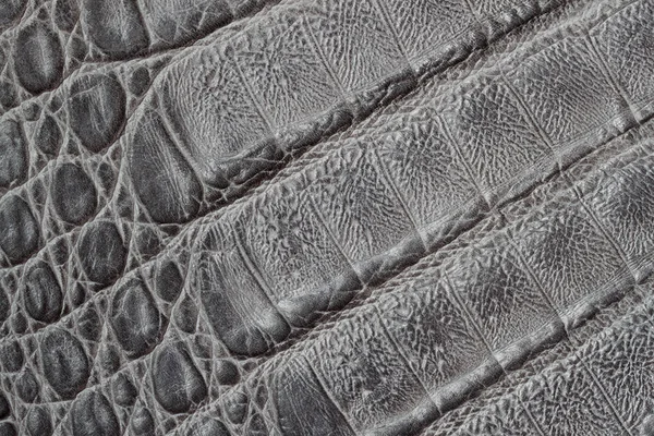 Skórzany tekstura tło, wydrukować skóry krokodyla, matową powierzchnię, moda wzór. Przekątne ułożenie. Koncepcja, zakupy, produkcja — Zdjęcie stockowe