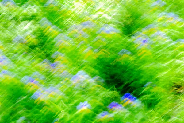 自然的夏天模糊的户外波克的背景与绿草, 蓝黄色的花朵和阳光, 有点像涂鸦。对于背景、基板、组合物的使用 — 图库照片