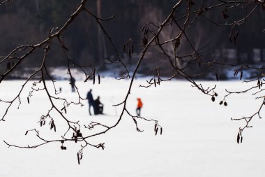 Balık tutma kış. Nehir, göl kenarında buz ormanında. Anglers, ağaç dalları, üzerinden Fishermens bulanık görüntü favori mens serbest zaman. Seçici
