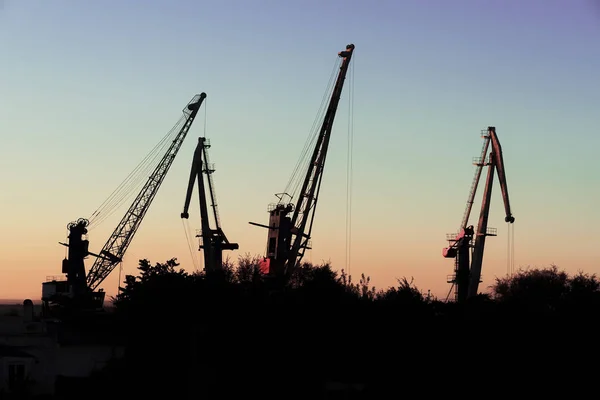 Silhouet van lading kranen. Poort wharf landschap. Heldere zonsondergang, heldere hemel. Avond zee-, rivier-dock — Stockfoto