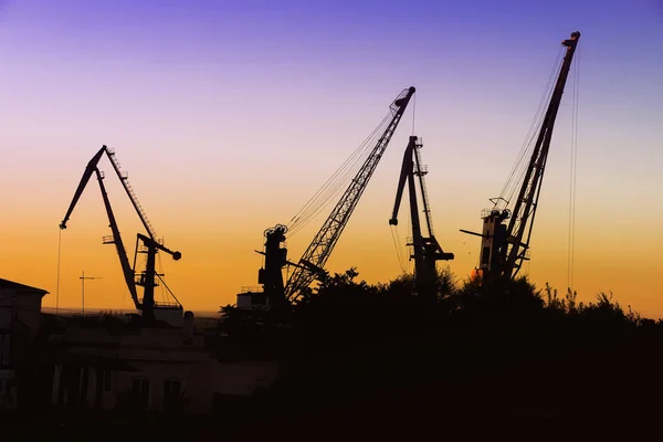 Silhouette de grues cargo. Paysage du quai de Port. Coucher de soleil lumineux, ciel lumineux. Soirée dans le port — Photo