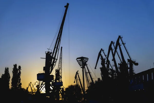 Soirée au port, mer, quai fluvial. Silhouette de grues industrielles. Quai, paysage portuaire. Coucher de soleil lumineux — Photo