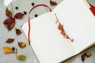 Boş Öğrenci yarıyıl not defteri içinde kafes, kopya alanı için metin, sonbahar yaprakları. Üstten Görünüm. Okul, okul, eğitim için başlayan kavramı