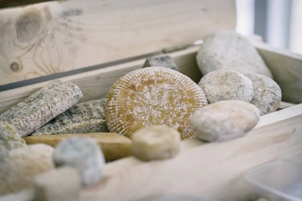 Diferentes graus de deliciosa delicadeza queijo envelhecido com molde em caixa de madeira. Produtos gastronómicos delicados no balcão do mercado, cena real no mercado alimentar — Fotografia de Stock