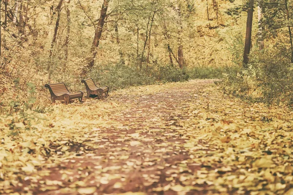 Bancos velhos no dia de outono, muitas folhas caídas, trilha de caminho nos arredores do parque. Estilizado como velho estilo vintage — Fotografia de Stock