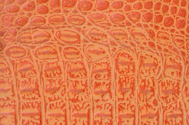 Parlak turuncu bir sürüngen, timsah deri altında kabartmalı makro egzotik arka plan ölçekler. Doku hakiki deri yakın çekim, moda trend