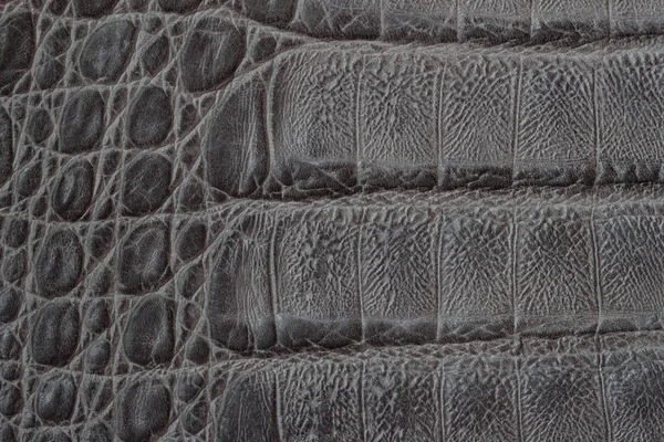 Pravé kůže textury backgroundr detail, ražené pod kůži plazů, Krokodýlí kůže tisku. Řemeslník pozadí kopírovat prostoru. Koncept nakupování, výrobní — Stock fotografie