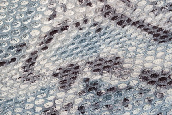 Textura de couro genuíno com imitação de réptil exótico com um padrão interessante, Ideal para roupas e bolsas. Cores cinza-azul — Fotografia de Stock