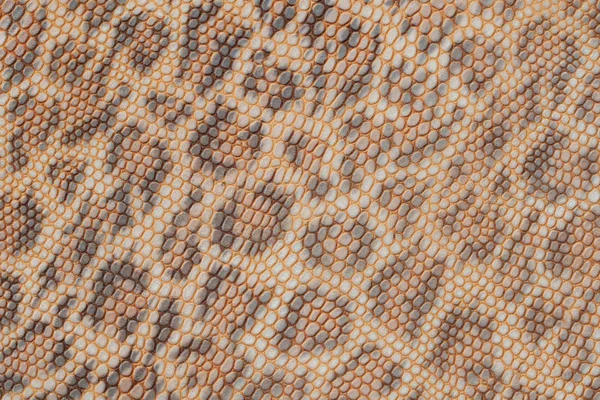 Textura de couro genuíno fundo close-up, gravado sob a pele um belo padrão de leopardo, Tons naturais de impressão, moda tendência selva fundo — Fotografia de Stock