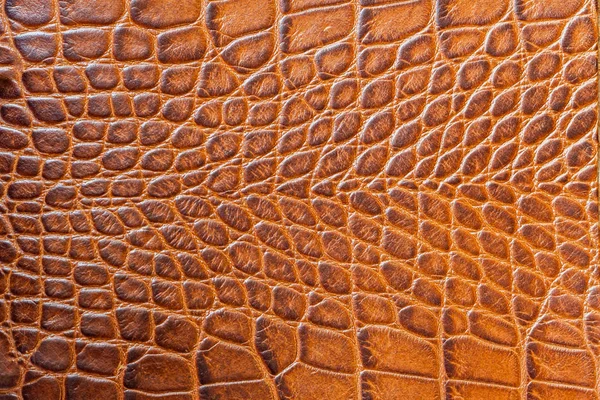 Écailles brunes fond macro exotique, en relief sous la peau d'un reptile, le crocodile. Texture cuir véritable close-up, tons cognac, tendance mode — Photo