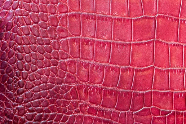 Red scales macro exotic background, embossed under the skin of a reptile, crocodile. Texture genuine leather close-up, fashion trend
