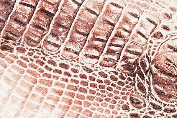 Brown scales macro exotic background, embossed under the skin of a reptile, crocodile. Texture genuine leather close-up, cognac tones, fashion trend
