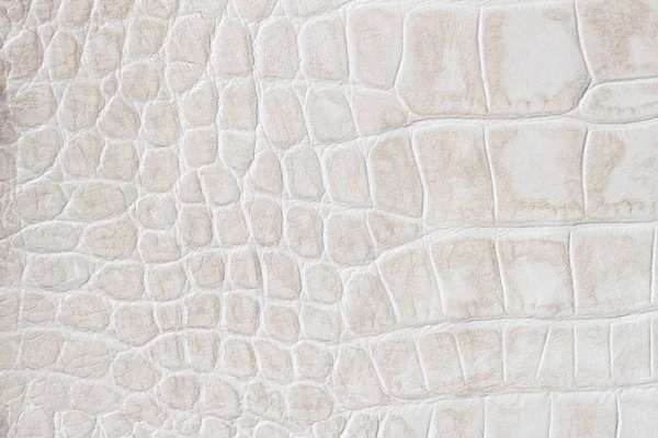Fashion cream scales macro exotic background, embossed under the skin of a reptile, crocodile. Texture genuine leather close-up, light tones, trend