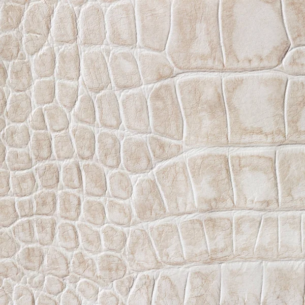 Beige Haut eines Reptils, Krokodils. Textur echtes Leder Nahaufnahme, Cognac-Töne, Modetrend — Stockfoto