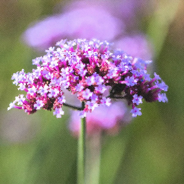 Vividi fiori viola primo piano. Imitazione di mosaico. Concetto di bella natura, sfondo estivo. Stagioni, giardinaggio, fiori ammirando — Foto Stock