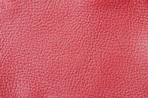 Rote Farbe echtem Leder Hintergrund, natürliche Textur. für Hintergrund, Substrat, Komposition. mit Platz für Ihren Text — Stockfoto