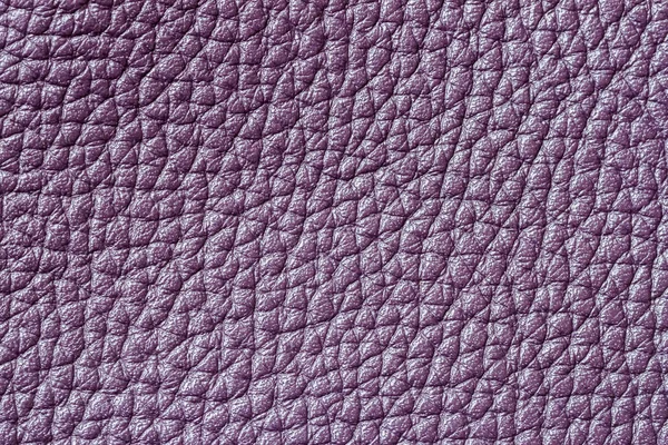 Abstract texture of genuine leather close-up, purple color, for background , backdrop, substrate, composition use, place for your text — Stock Photo, Image