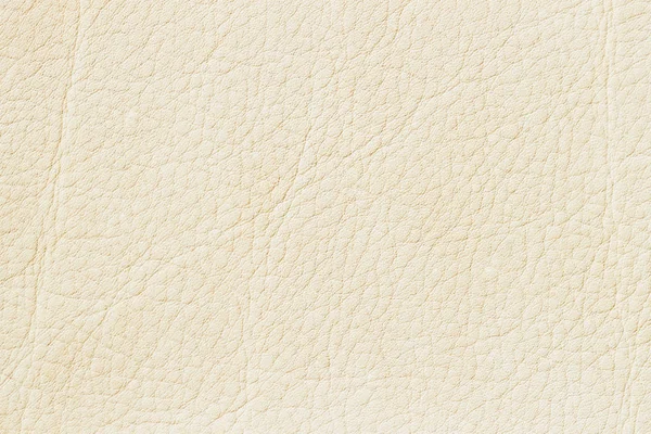 Weiße Creme Farbe echtes Leder, hellbeige Farbe Hintergrund oder Textur. für Hintergrund, Substrat, Komposition. mit Platz für Ihren Text — Stockfoto