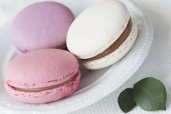 Macaron rosa, bianchi e viola primo piano in piatto bianco, petali verde molla, tenero sfondo pastello. Concentrati. Mattinata romantica, regalo per l'amato — Foto Stock