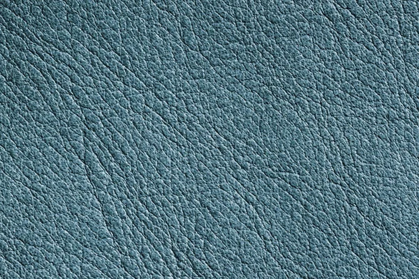 Genuine porous grainy leather texture closeup, dark green mint background — Stock Photo, Image