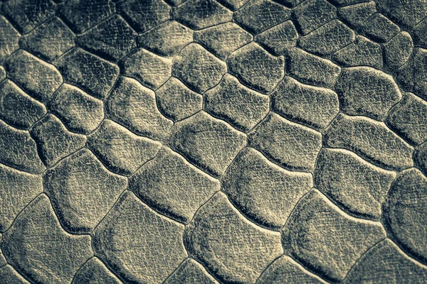 Textur av grått äkta läder närbild, med präglade skalor reptiler, mode trend mönster — Stockfoto