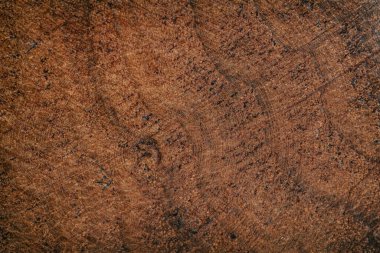 Wood rough tree texture background, surface old natural pattern