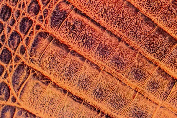 Textur aus hellbraunem Echtleder Nahaufnahme, mit geprägten Schuppen Reptilien, Mode-Trend-Muster, Tapeten oder Banner-Design — Stockfoto