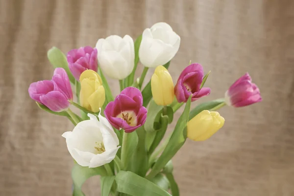 Tulpen blühen hautnah auf Vintage-Hintergrund. Frühlingskonzept, Feiertage und Geschenke — Stockfoto