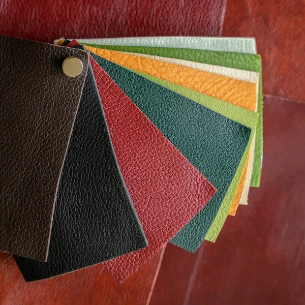 Set von bunten Proben von echtem Leder, Farben und Textur Proben, abstrakter Hintergrund. Fertigungskonzept — Stockfoto