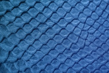 Derinin altına işlenmiş hakiki deri dokusu bir sürüngen. Doğal zemin, kopyalama alanı. Alışveriş, üretim kavramı