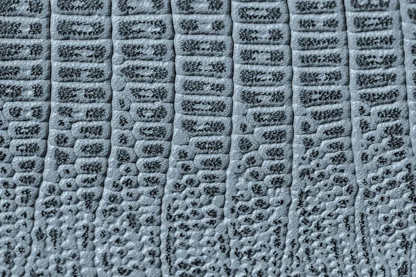 Textura de couro genuíno cinza azul close-up, gravado sob répteis exóticos da pele, padrão de tendência da moda — Fotografia de Stock