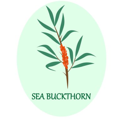 Çerçevede deniz dikenli dal