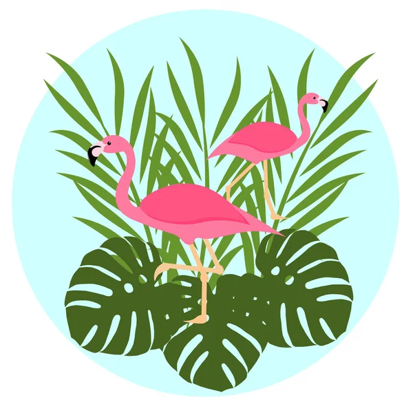 Rosafarbene Flamingos mit Palmblättern und Monstera — Stockvektor