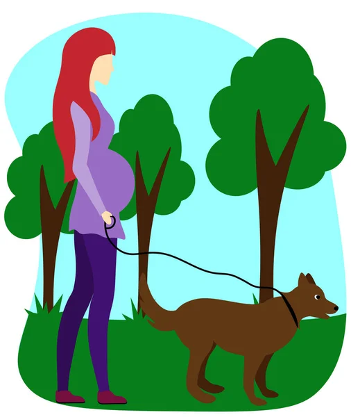 Pregnant Woman Walks Dog — Stock Vector