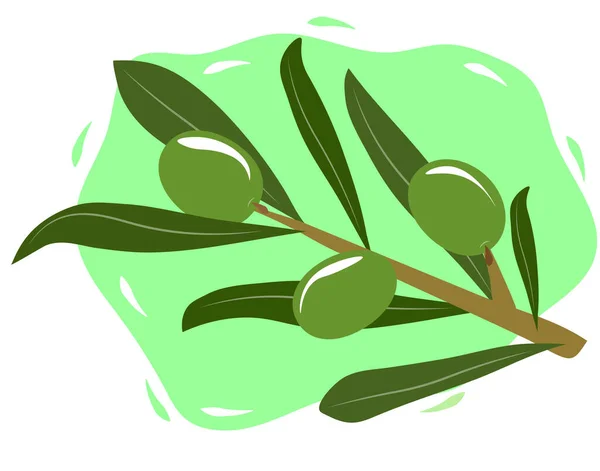 Green Olives Branch — Stock Vector