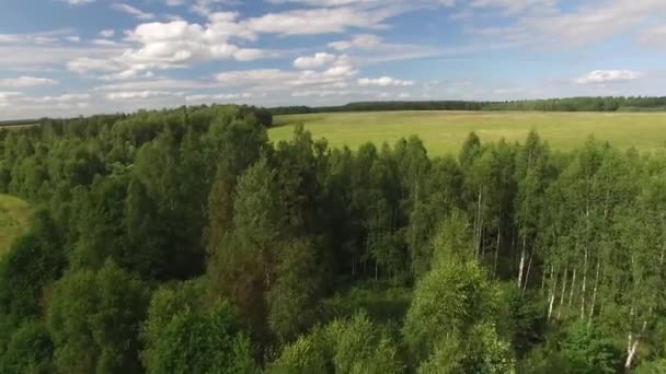 Autentickou přírodou Rusko. Stromy a lesní obloha s mraky pole. 