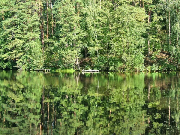 Rzeka w środkowej Rosji, w lesie — Zdjęcie stockowe