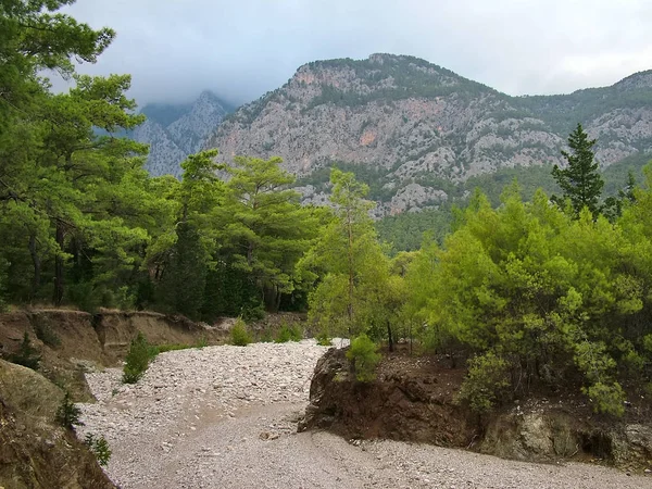 Koryto rzeki w górach Taurus — Zdjęcie stockowe