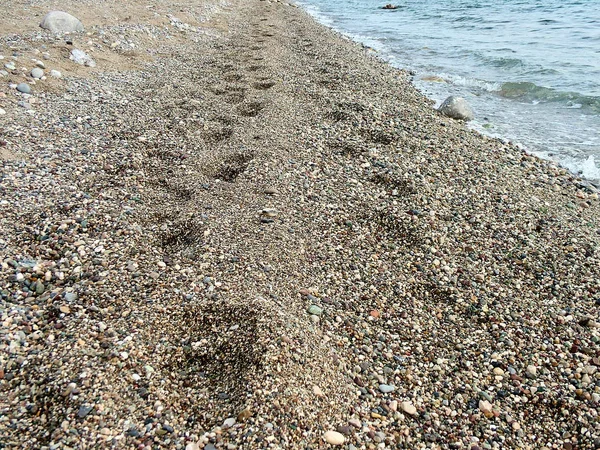 Fußabdrücke am Strand — Stockfoto