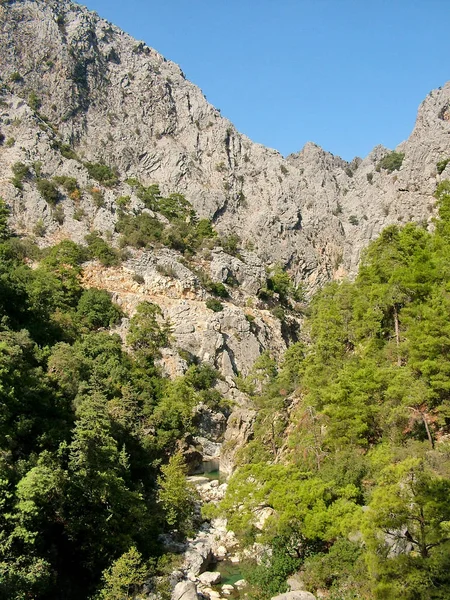 Träd på klipporna i ravinen Göynük i Turkiet — Stockfoto