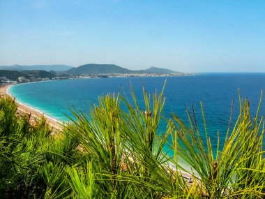 Ege Denizi 'nin arka planına karşı kozalaklı ağaç iğneleri. Rodos adasının batı kıyısında rüzgar ve dalgalar var. Yunanistan